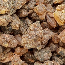 EO_benzoin_obr.jpg