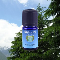 EO_cedr_himalaj2.jpg