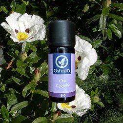 EO_cist_jojoba2.jpg