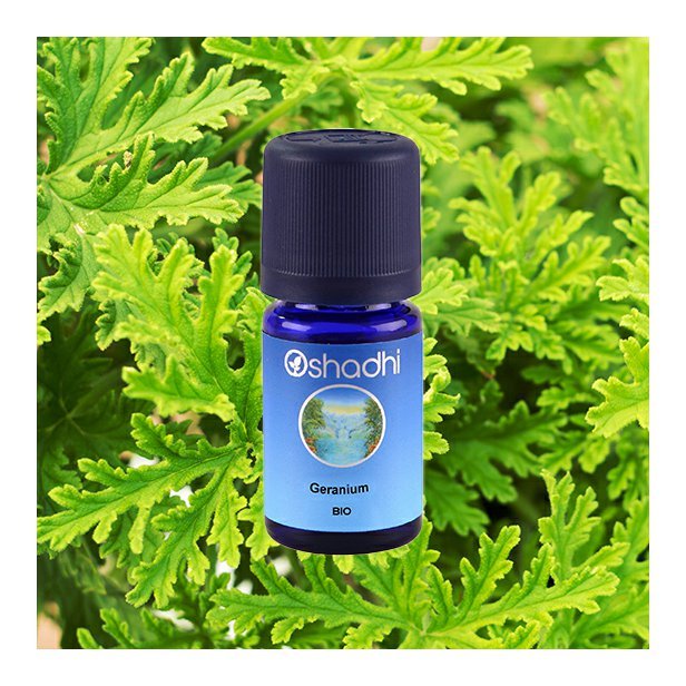 EO_geranium_obr1.jpg