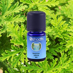 EO_geranium_obr_ruzove.jpg