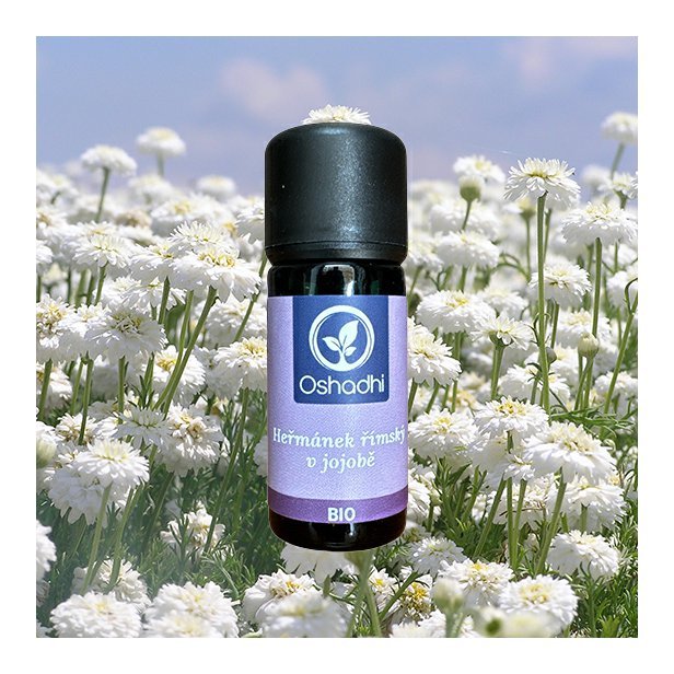 EO_hermanek_rimsky_jojoba.jpg