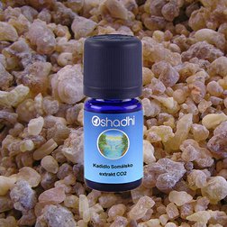 EO_kadidlo_carterii_CO2.jpg