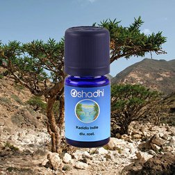 EO_kadidlo_serrata_obr2.jpg