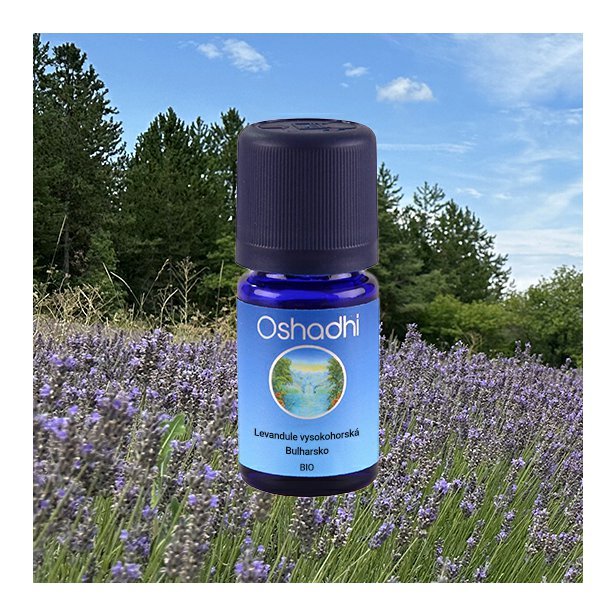 EO_levandule_bulharsko5