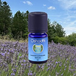 EO_levandule_bulharsko5