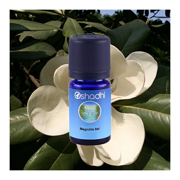 EO_magnolie_listy_obr2.jpg