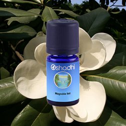 EO_magnolie_listy_obr2.jpg
