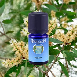 EO_niaouli_nerolidol_obr2.jpg