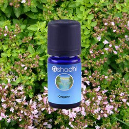 EO_oregano_obr2.jpg