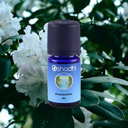 EO_rododendron_obr2.jpg