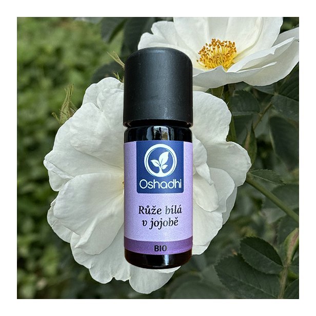 EO_ruze_bila_jojoba.jpg