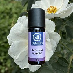 EO_ruze_bila_jojoba.jpg