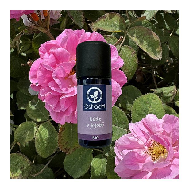 EO_ruze_damasska_jojoba.jpg