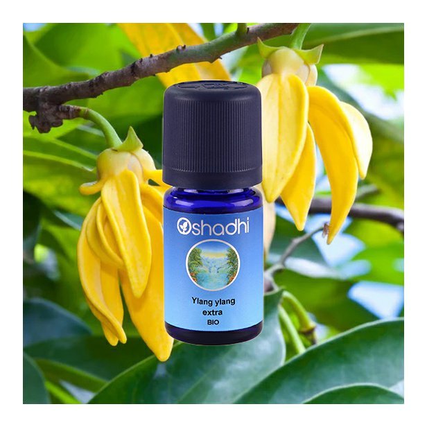EO_ylang_extra_obr1.jpg