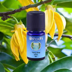 EO_ylang_extra_obr1.jpg