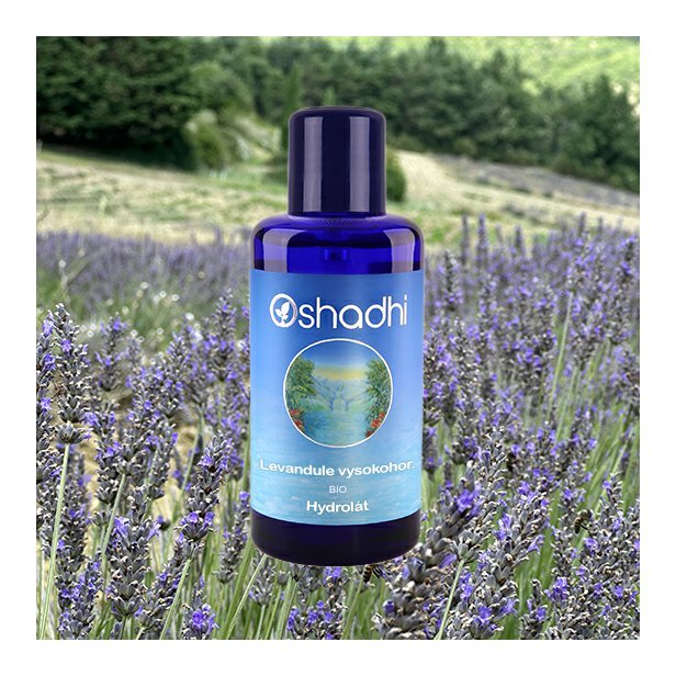 HY_levandule_vysokohorska_obr.jpg
