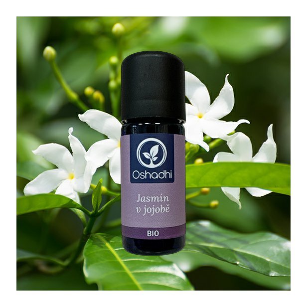 Jasmin_jojoba_obr.jpg