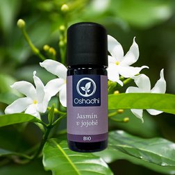Jasmin_jojoba_obr.jpg