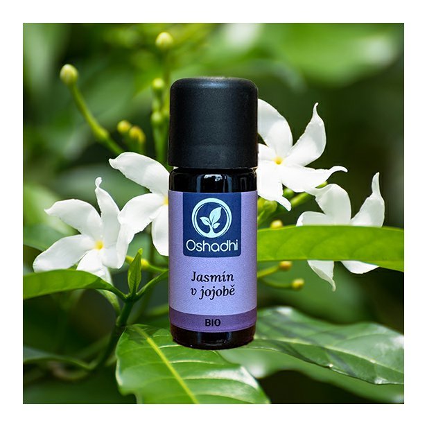 Jasmin_sambac_jojoba_obr