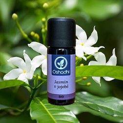Jasmin_sambac_jojoba_obr