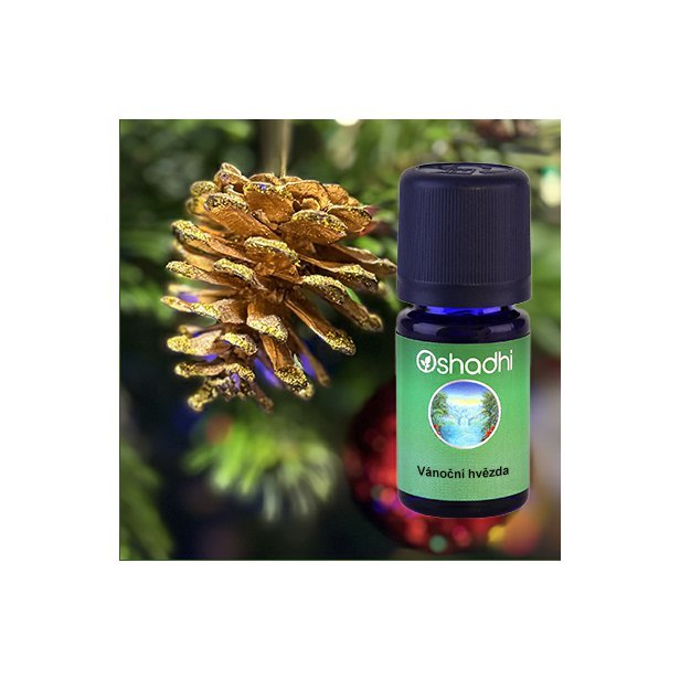 SYN_vanocni_hvezda_vanoce