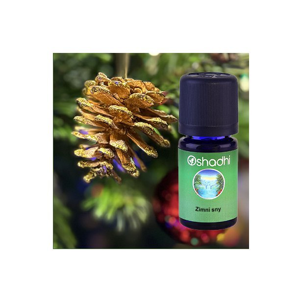 SYN_zimni_sny_vanoce