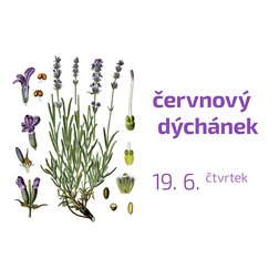 Rezervace Červnového Dýchánku 19. 6.