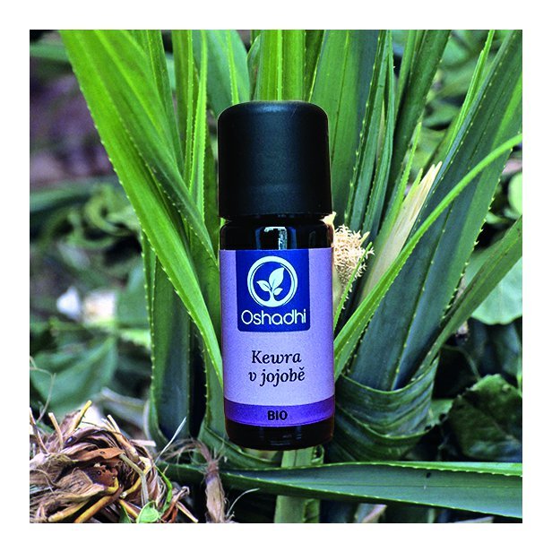 kewra_jojoba_obr