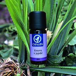 kewra_jojoba_obr
