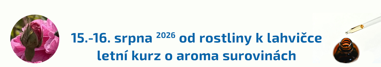 letní kurz 2026