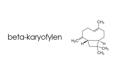Beta-karyofylen a endokanabinoidní systém