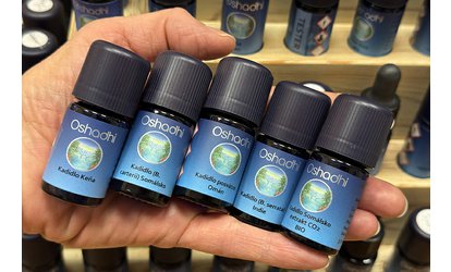 Božské kadidlové esence