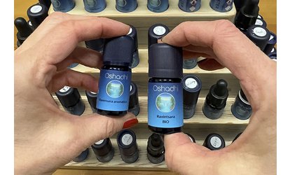 Ravensara x ravintsara